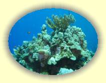 IMG_2007_05_29 15_52_48 * 3072 x 2304 * (968KB)